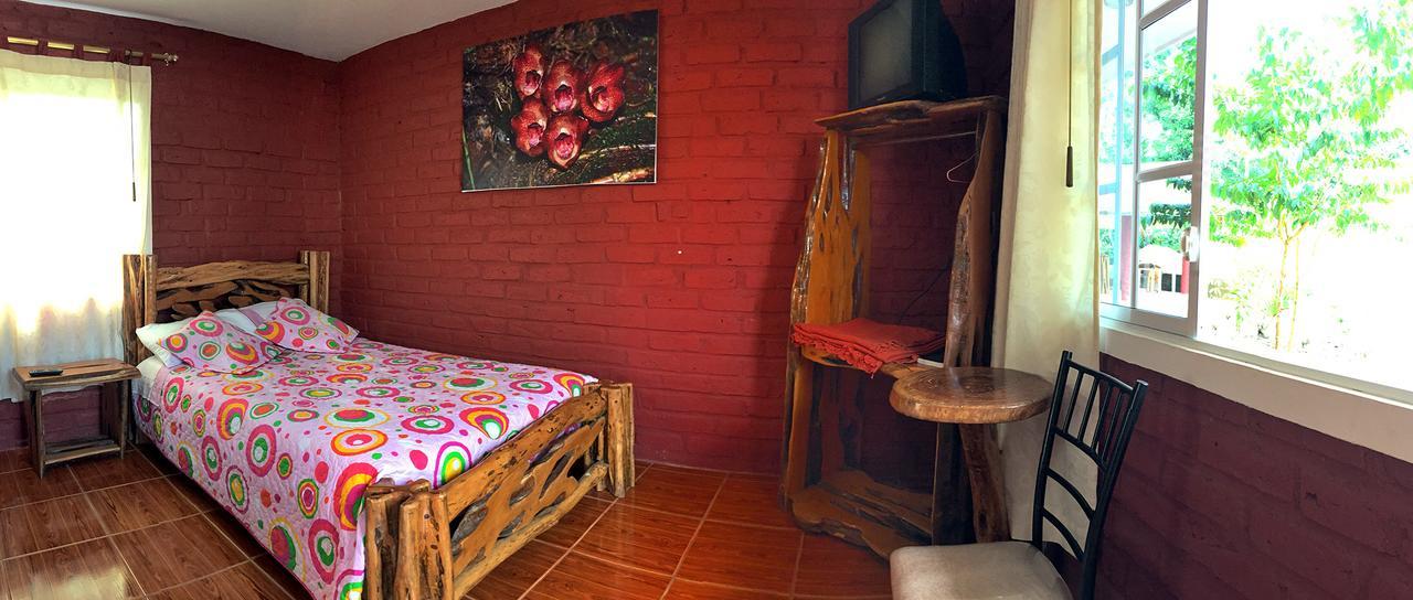 פויו Hosteria Don Elias מראה חיצוני תמונה